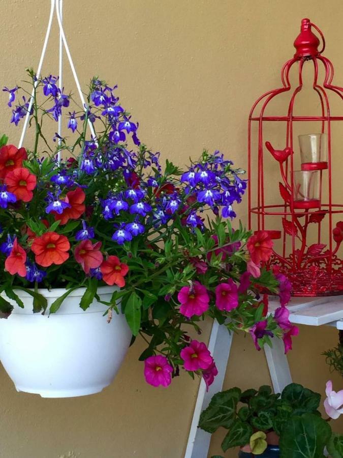 Willa Casa De Ferias Josefa D'Óbidos Zewnętrze zdjęcie